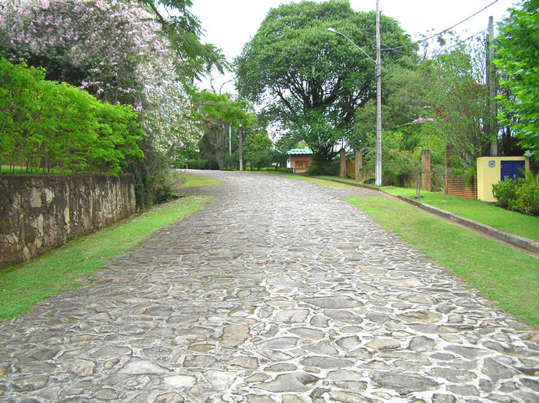 BIZZARRI PEDRAS: 14 Fotos Passo a Passo Muro de Pedra com o Paisagismo